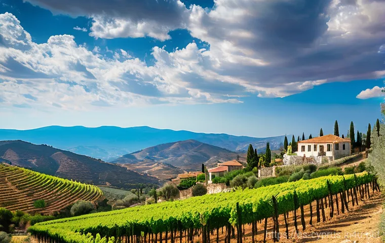 키프로스 와인 시음 투어 - Prompt 1: Ancient Vineyards and a Resilient Viticultor**